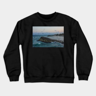 Tulum Mexico Pelicans flying over Tulum beach at sunset MX Crewneck Sweatshirt